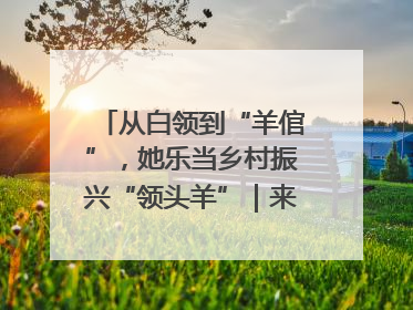 从白领到“羊倌”，她乐当乡村振兴“领头羊”｜来长沙 创未来